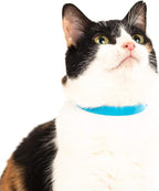 Breakaway Cat Collar - Soft, Comfortable, and Lightweight Safety Buckle Collar with ID Tag Ring for Outdoor Cats and Sensitive Skin Kittens (6 ⅞" to 10 ¼", Blue)