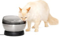 PetSafe HydroSphere 60 oz Stainless Steel Pet Fountain - Filtered Water Fountain for Cats and Small Dogs - Dishwasher Safe - Quiet, Wire-Free Pump - Easy to Clean
