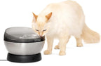 PetSafe HydroSphere 60 oz Stainless Steel Pet Fountain - Filtered Water Fountain for Cats and Small Dogs - Dishwasher Safe - Quiet, Wire-Free Pump - Easy to Clean