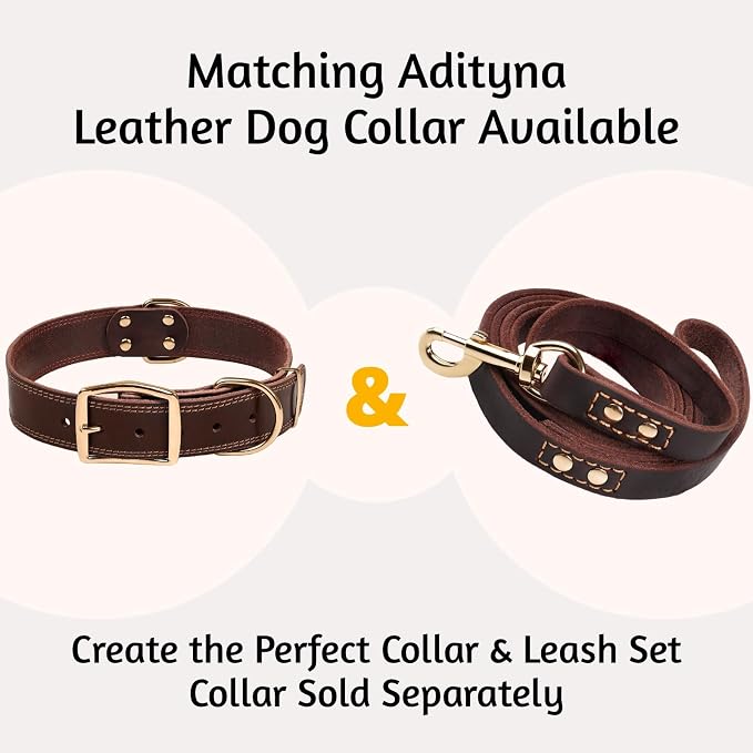 Leather Dog Leash 6 ft x 3/4 inch - Soft, Strong, Heavy Duty for Large & Medium Breeds - Dog Lead for Walking (Brown - Gold Colored Clasp, L - 6 ft x 3/4 inch)