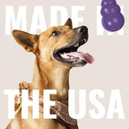 KONG Senior - Dog Toy with Gentle, Natural Rubber - Durable Dog Toy for Older Dogs - Use Treats with Stuffable Chew Toy - Treat Toy for Chewing & Fetching - for Small Dogs
