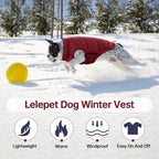 Lelepet Reversible Dog Coat Windproof Dog Jacket Lightweight Puffer Vest | Windproof Wintet Jacket Warm Coats for Large Dogs Adjustbale Hook & Loop Pet Apparel with Leash Hole, Pitbull, Wine Red, XL