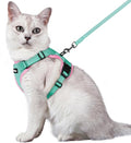 rabbitgoo Cat Harness and Leash Set, Escape Proof Vest, Green & Pink | Soft Breathable Mesh, Easy Adjustable Fit, Snap Buckles, Sturdy Clip, Reflective Strips, for Medium to Large Cats Walks, M