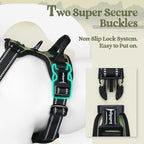 rabbitgoo Dog Harness, No Pull Medium Sized with 2 Leash Clips, Pet Vest | No Choke with Handle, Adjustable Soft Padded, Reflective, Easy Control for Walking, Green Mountain, Medium