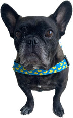 BULLHUG Adjustable Dog Harness– No Pull, No Choke – for English Bulldogs, French Bulldogs, Pugs & Broad-Chested Breeds – Easy, Safe Walks (Sky-Duck, Large)