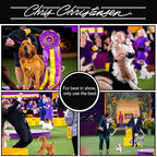 Chris Christensen Day to Day Ultra Concentrated Dog Shampoo, Makes up to 8 Bottles, Groom Like a Professional, Moisturizing, All Coat Types, for Daily Use, Made in USA, 1 Gallon