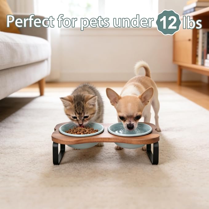 SPUNKYJUNKY Ceramic Elevated Tilted Dog Bowls Bone-Shaped Raised with 2 Height Iron Stand, 4.9'' Dog and Cat Food Water Bowls Set Non-Slip for Puppy Kitten Small Sized Breed - 7 OZ,Light Green