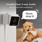 Petcube Cam (3-Pack) – Wi-Fi Pet & Security Camera with App | 1080p HD video, 2-way audio, night vision, smart alerts for dog, cat & home security monitoring. Includes 3 cameras
