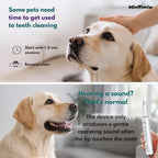 Dog Plaque Tartar Remover for Teeth - Dog Teeth Cleaning Kit, Electric Remover with LED Light, 5 Adjustable Modes, Safe Pet Tooth Cleaner, Dental Care Tool for Dogs