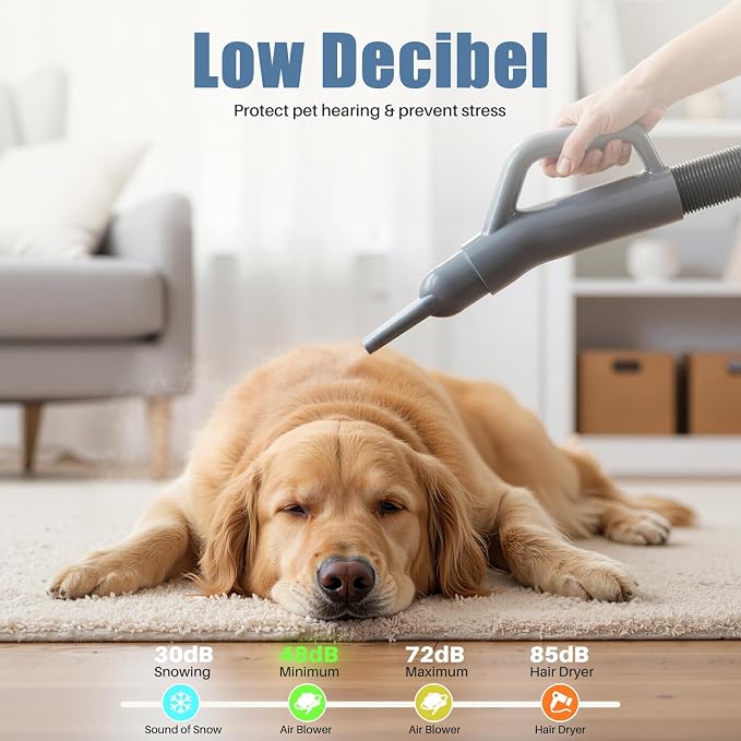 DUMOS Dog Hair Dryer for Pet Grooming, Low Noise, 6.5 FT Cord | Dog Blow Dryer with Adjustable Wind Speed & Heater Temperature, Cool-Warm-Hot Cycle Mode, 4 Nozzles, Grey