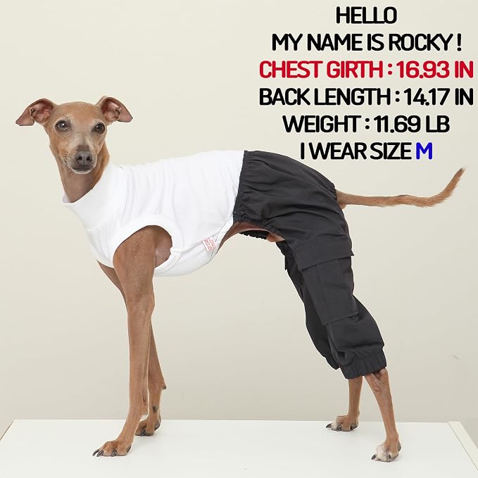 D Doggy Star Italian Greyhound Clothes Cargo Pants Onesie Outfit Whippet for Dog Coat (S,Navy Cargo)