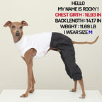 D Doggy Star Italian Greyhound Clothes Cargo Pants Onesie Outfit Whippet for Dog Coat (S,Navy Cargo)