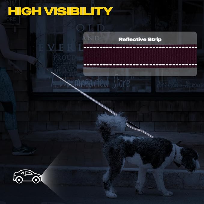 Fida 10ft Heavy Duty Dog Leash with 2 Comfortable Padded Handles, Traffic Handle & Advanced Easy Snap Hook, Reflective Walking Lead for Large, Medium & Small Breed Dogs, Rose