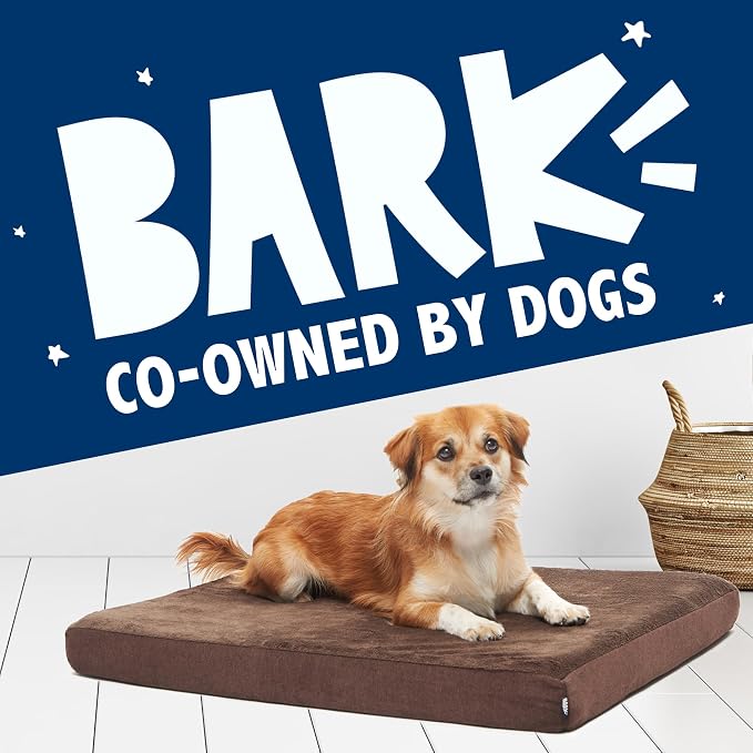 BarkBox Orthopedic Dog Bed - Large | with Memory Foam - Comfortable, Durable & Machine Washable Pet Bed - Espresso