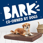 BarkBox Orthopedic Dog Bed - Large | with Memory Foam - Comfortable, Durable & Machine Washable Pet Bed - Espresso