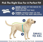 Spark Paws Dog Surgery Recovery Suit – Dog Recovery Suit After Surgery, Anti-Lick Dog Onesie, Abdominal Wound Protector, Soft Cone Alternative for Spay Neuter Male Female Pet Recovery - Planets - S