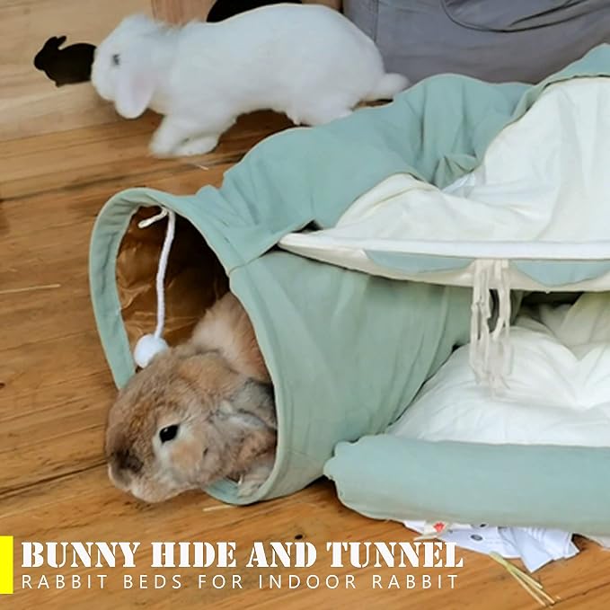 Cat Tunnel Bed, 2-in-1 Collapsible Cat Tunnel Tubes Toys with Removable Mat for Pet Cats Kittens Puppies Rabbits Bunnies Ferrets (Matcha)