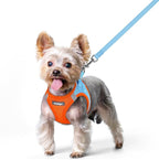 rabbitgoo Dog Harness Small Sized and Leash Set, Step-in Puppy Pet Vest | Light, Soft, Breathable Air Mesh, Easy on and Remove with Hook & Loop, Secure Reflective for Walking, Blue & Orange XS