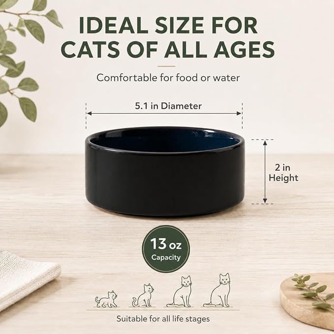 Havniva Cat Bowls Set of Two, 5.1” Ceramic Cat Food and Water Bowls | Cat Food Bowls Whisker Friendly, Non-Slip Base, Food-Grade Ceramic, Wide Opening, Dishwasher Safe, Cat Bowls for Indoor Cats