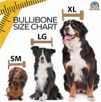 Bullibone Nylon Dog Chew Toy for Aggressive Chewers - Dental Hygiene Bone with Beef Flavor, Durable Tough Chew Toys for Extra Large Dogs, Indestructible Dog Bone - 3 Pack