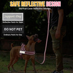 SlowTon No Pull Dog Harness - Heavy Duty Dog Harness and Leash Set for Medium Large Dogs, Reflective Tactical Harness with Soft Padded and Front Clip for Easy Walk and Training (Pink, L)
