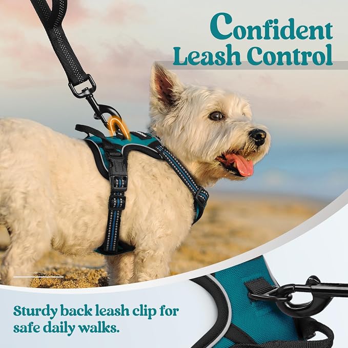 rabbitgoo Dog Harness, No Pull for Small Dogs with 2 Leash Clips, Pet Vest | No Choke, Adjustable, Breathable Padded, 2 Lead Rings, Reflective, Easy Control for Walking Training, XS, Blue Coral