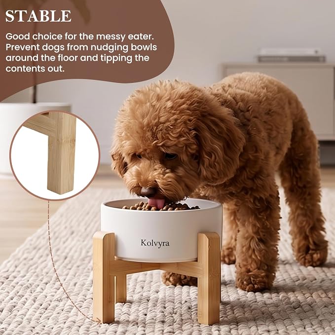 6" Elevated Ceramic Dog Bowl, Anti-Vomiting 23oz for Small Dogs | Premium Food-safe Ceramic with Anti-slip Wood Stand,Dishwasher Safe,Ergonomic Height Relieves Neck Strain,White
