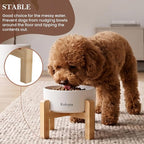 6" Elevated Ceramic Dog Bowl, Anti-Vomiting 23oz for Small Dogs | Premium Food-safe Ceramic with Anti-slip Wood Stand,Dishwasher Safe,Ergonomic Height Relieves Neck Strain,White
