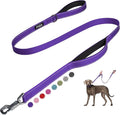 Fida 5 FT Heavy Duty Dog Leash with 2 Comfortable Padded Handles, Traffic Handle & Advanced Easy Snap Hook, Reflective Walking Lead for Large, Medium & Small Breed Dogs, Purple