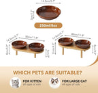 Havniva Elevated Cat Bowls, Ceramic Cat Bowl with Bamboo Stand Wide Opening | 5.7” Raised Cat Food Bowls, Whisker Friendly Cat Dish, Anti-Slip Cat Water Bowls, Shallow Cat Bowls, Cat Food & Water Bowl