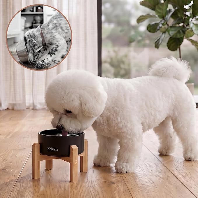 6" Elevated Ceramic Dog Bowl, Anti-Vomiting 23oz for Small Dogs | Premium Food-safe Ceramic with Anti-slip Wood Stand,Dishwasher Safe,Ergonomic Height Relieves Neck Strain,Black