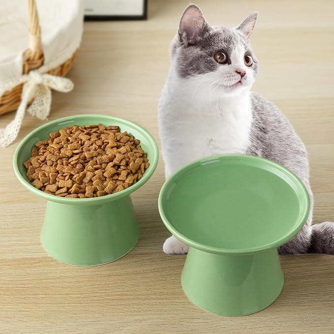 Ceramic Elevated Cat Bowls - 6.2 Inch Extra Wide Raised Cat Food and Water Bowl Set for Indoor Cats, Whisker-Friendly Ceramic Cat Dish for Elder Big Cats & Small Dogs,Green,1 Pack