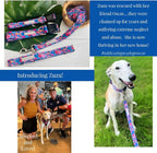 Lucky Love Dog - Easy Click Buckle Dog Collar with Leash Set Combo, Durable & Comfortable for Male & Female Dogs, Pet Collar for Large Dogs, Secure Fit - Zuzu Combo, XL