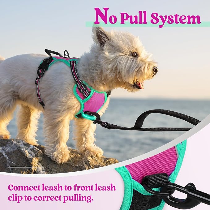 rabbitgoo Dog Harness, No Pull for Small Dogs with 2 Leash Clips, Pet Vest | No Choke with Handle, Adjustable Soft Padded, Reflective, Easy Control for Walking, Hot Pink & Turquoise, X-Small