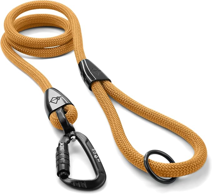MADE TO ROAM Premium Explorer Leash - Climbing Rope Leash with Autolocking Aviation Aluminum Carabiner - Michigan Autumn, 6ft