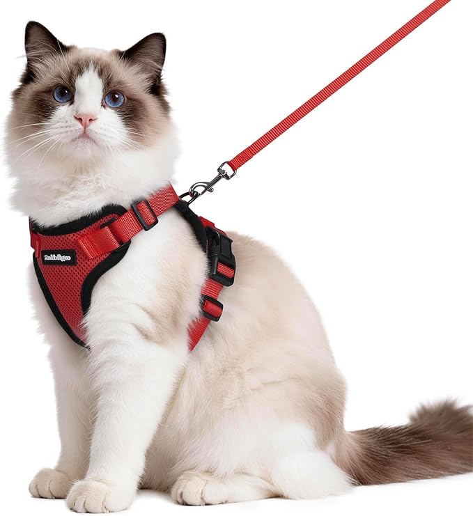 rabbitgoo Cat Harness and Leash Set, Escape Proof Vest, Red | Soft Breathable Mesh, Easy Adjustable Fit, Snap Buckles, Sturdy Clip, Reflective Strips, for Medium to Large Cats Walks, M