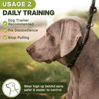 Fida Slip Leads for Dogs, 4 FT x 1/2" Dog Leash Heavy Duty Comfortable Strong Rope Lead for Large, Medium Dogs, No Pull Pet Training Leash with Highly Reflective, Black