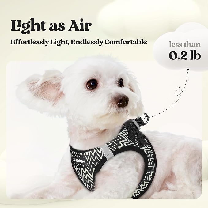 rabbitgoo Dog Harness Medium Sized and Leash Set, Step-in Puppy Pet Vest | Light, Soft, Breathable Air Mesh, Easy on and Remove with Hook & Loop, Secure Reflective for Walking, Black Zigzag L