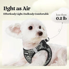 rabbitgoo Dog Harness Small Sized and Leash Set, Step-in Puppy Pet Vest | Light, Soft, Breathable Air Mesh, Easy on and Remove with Hook & Loop, Secure Reflective for Walking, Black Zigzag S