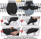Lelepet Warm Dog Coat Adjustable Dog Fleece Vest Waterproof Jacket for Dogs | Windproof Winter Cold Weather Coats with Adjustable Buckle & Leash Hole Reflective Snow Jackets for Dogs, Black, M
