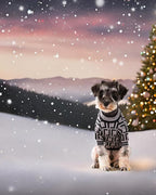 Dog Sweater for Small Dogs, Designer Dog Clothes, Luxury Furdi, Soft Knit | Designer dog clothes for small dogs with soft knit comfort, luxury styling and easy pullover fit for Yorkies in cold weather.