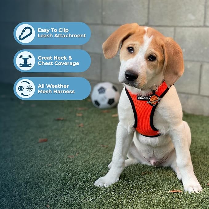 Best Pet Supplies Voyager Step-in Air All Weather Mesh Harness and Reflective Dog 5ft Leash Combo with Neoprene Handle, for Small, Medium and Large Breed Puppies - Orange/Black Trim, Medium