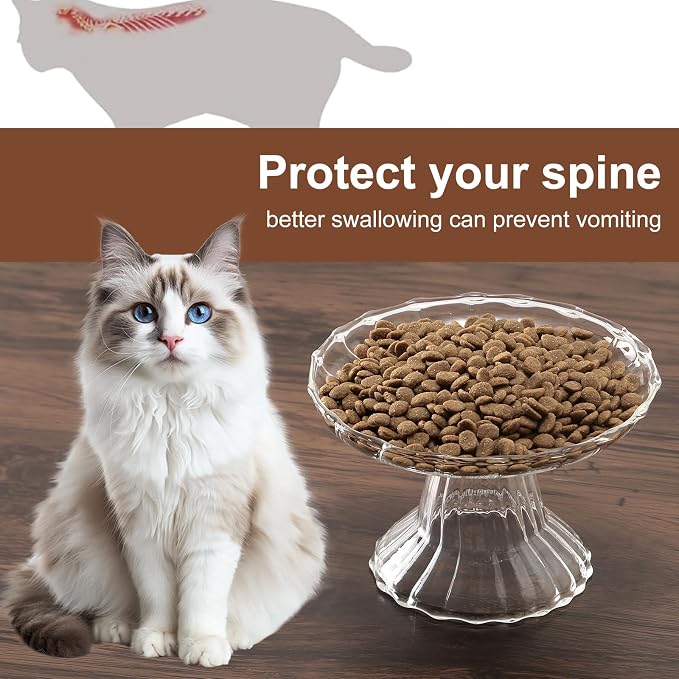 Elevated Cat Bowls Whisker Friendly. Raised Glass Whisker Fatigue Cat Bowl for Indoor Cats Protect The Spine and Prevent Vomiting.