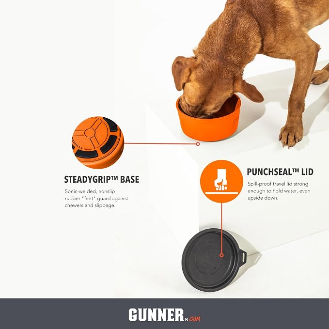 Dog Bowl with Spill-Proof Travel Lid, Orange, 7-Cup Pet Travel Bowl | Orange 7-Cup Dog Bowl, Spill-Proof Travel Lid, BPA-Free, Rust-Proof, Shock-Resistant, Stackable and Dishwasher Safe