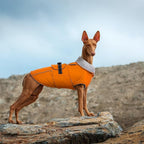 Lelepet Dog Coat Waterproof Dog Jacket Fleece Vest with Adjustable Buckle | Reflective Winter Coat with Leash Hole Windproof Cold Weather Coats for Small Medium Large Dogs, Warm Hunting Vest, Orange, S