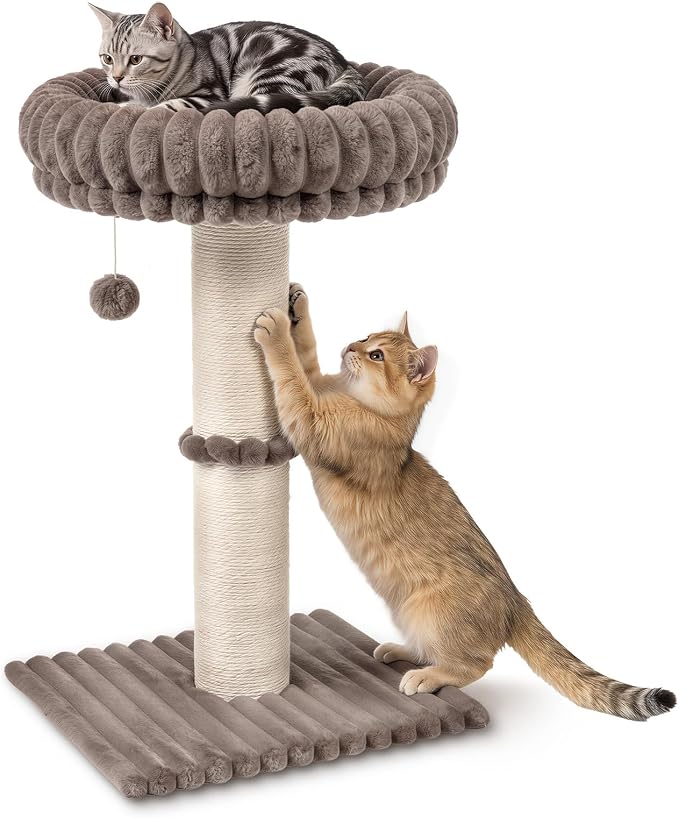Avont 28.7" Sisal Cat Scratching Post with Large Plush Perch, Taupe | Large Cat Scratcher Tower & Plush Elevated Cat Bed with Removable & Washable Cover, Sturdy Cat Perch for Indoor Cats