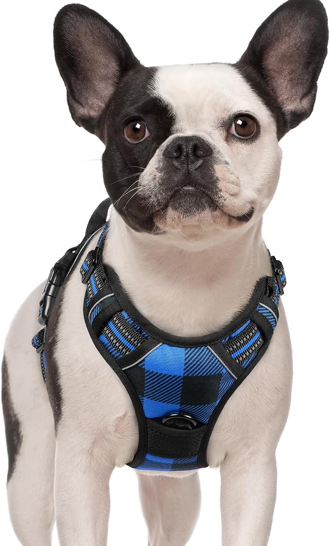 rabbitgoo Dog Harness, No Pull for Small Dogs with 2 Leash Clips, Pet Vest | No Choke with Handle, Adjustable Soft Padded, Reflective, Easy Control for Walking, Blue Plaid, Small