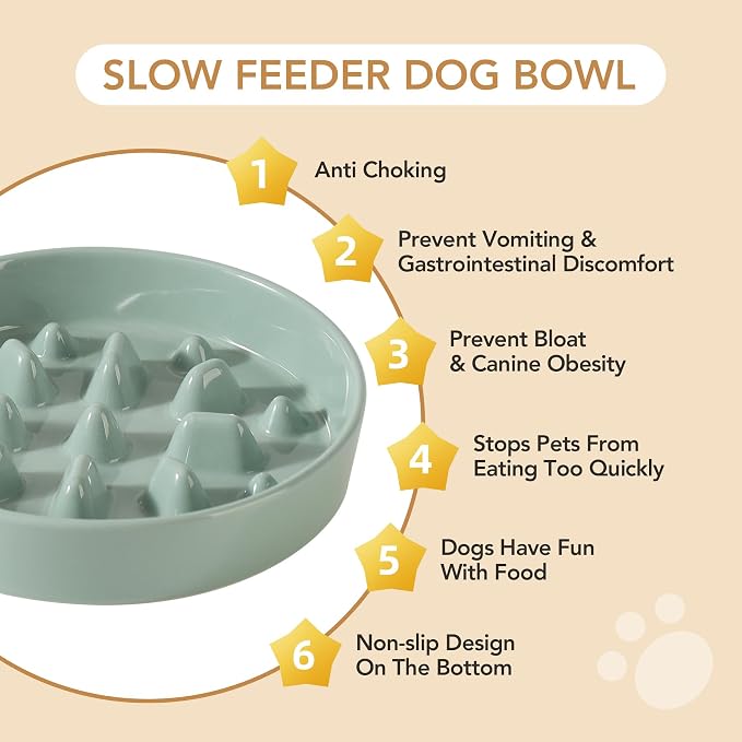 Havniva Slow Feeder Dog Bowls, Ceramic Dog Bowl Slow Feeder for Fast Eater | 1.6 Cups Puzzle Dog Food Bowl, Slow Feeding Bowls for Medium Dogs, Non-Slip Rubber Base, Anti-Choking