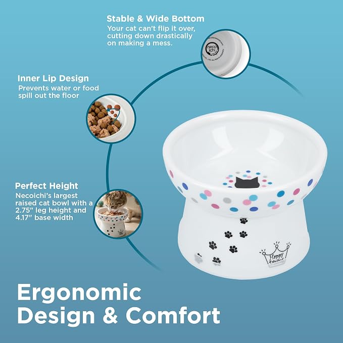 Necoichi Ceramic Raised Cat Food Bowl, 15° Tilted (Colorful Dots, Regular)
