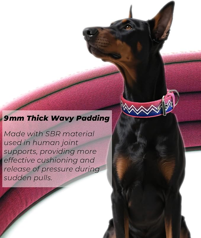 Dog Collar for Large Dogs,2 in Wide Heavy Duty,Pressure-Relief Padded, B-M | Professional Protection for Large and Giant Breeds,Handle for Control,Stainless Steel Buckle Ultra Safety,20-23 in